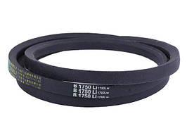 Ремень B-1750 тип 2 TT AGRO MOTO  на дизельный двигатель 180N/195N