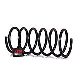 Пружина підвіски задня KYB RA5578, фото 3