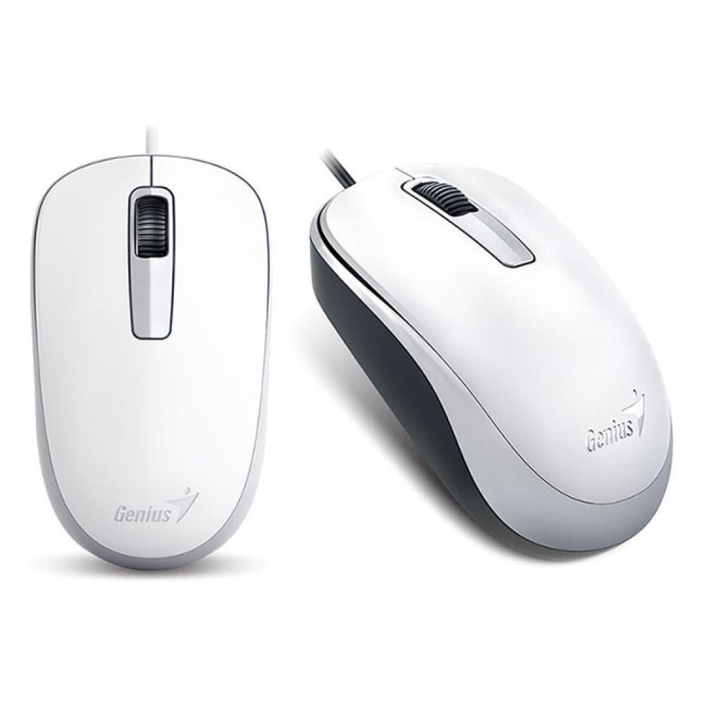 Миша Genius DX-125 USB White (31010106102), фото 1