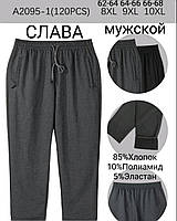 Спортивні чоловічі "Ластівка" (62-68) супербатал