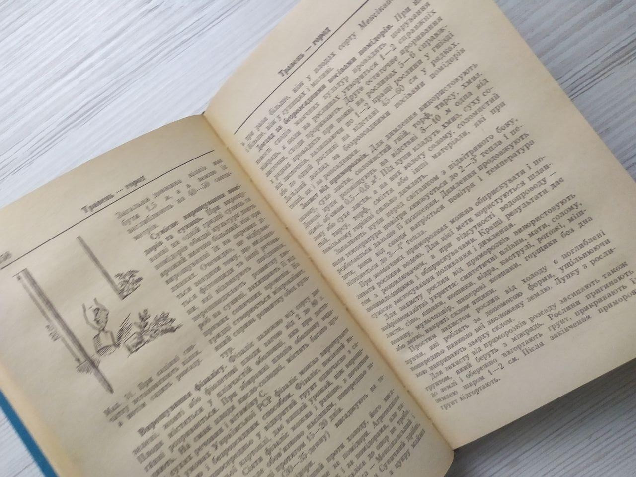 Product image preview