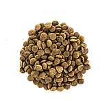 Сухий корм Brit Care Cat GF Large Power & Vitality для котів великих порід качка та курка 7 кг, фото 4