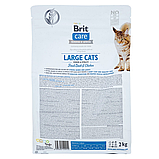 Сухий корм Brit Care Cat GF Large Power & Vitality для котів великих порід качка та курка 2 кг, фото 3