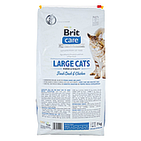 Сухий корм Brit Care Cat GF Large Power & Vitality для котів великих порід качка та курка 7 кг, фото 3