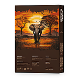 Кава мелена робуста В'єтнам та Уганда для турки 500 г, фото 3