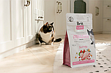 Сухий корм Brit Care Cat GF Sterilized Sensitive для стерилізованих котів з чутливим травленням з кроликом 7 кг, фото 5