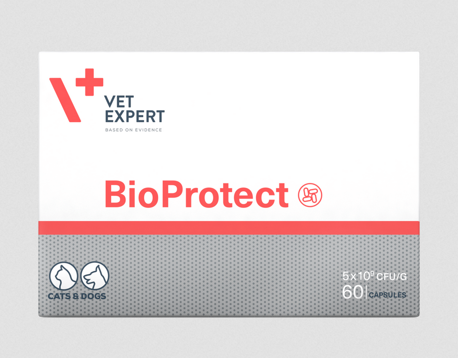 VetExpert BioProtect препарат для собак і кішок з шлунково-кишковими розладами (60капс)