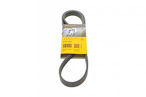 RENAULT CLIO/KANGOO 1.9DTI - Пас генератора