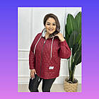 Жіноча коротка демісезонна куртка батал великі розміри весняна стьобана з капюшоном на змійці