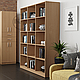 Велика книжкова шафа для офісу КШ-3, фото 3