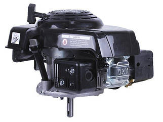 Бензиновий двигун 1P65F ТАТА (5,5 к.с., вертикальний вал, шпонка 22 мм) (код 10350)