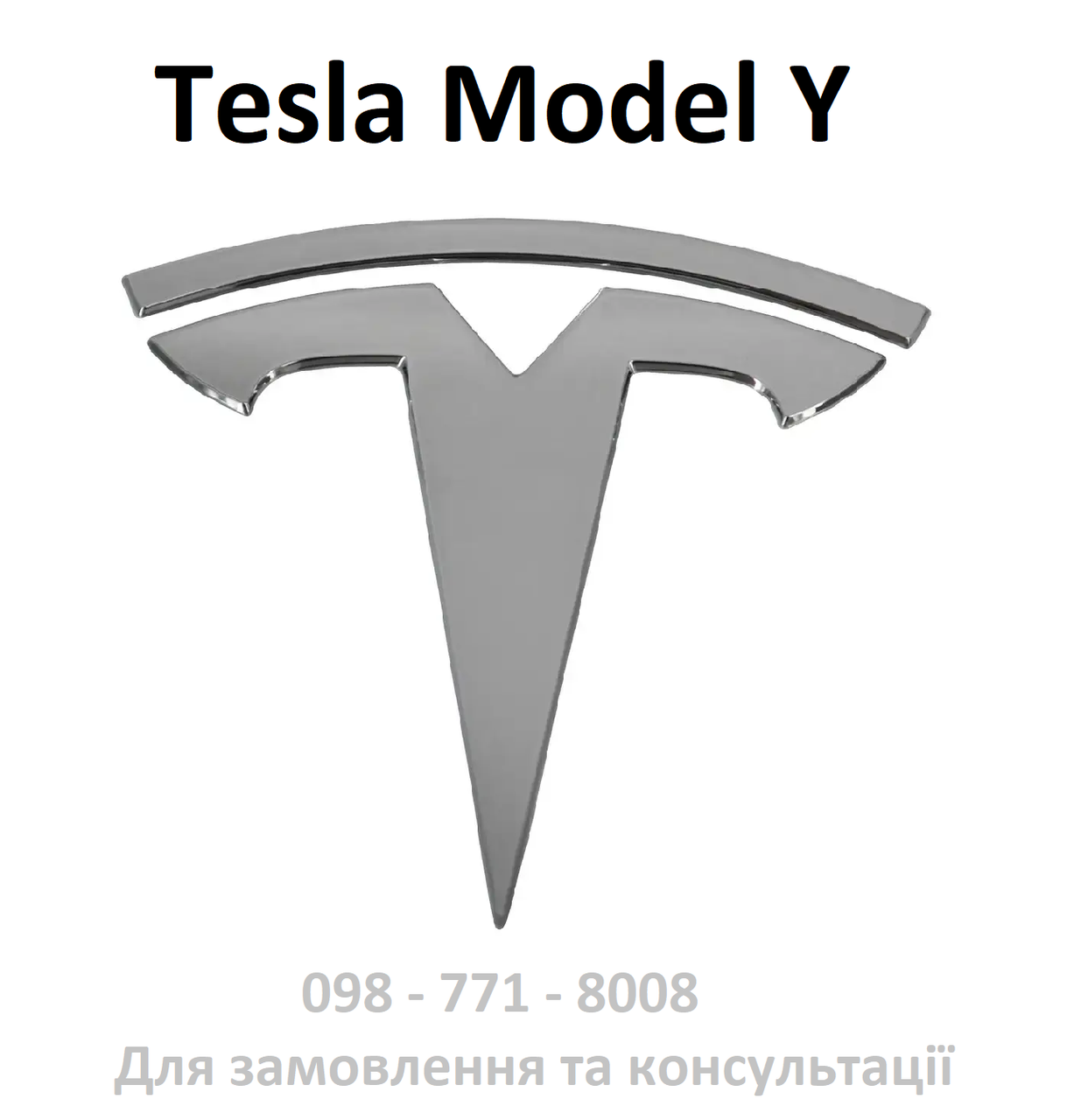 Емблема значок логотип Tesla Model Y на кришку заднього багажника ляду (1507320-00-C , 1607786-00-A)