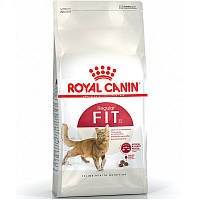 Корм для котів Роял Royal Canin FHN FIT32 400 г