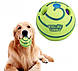 Іграшка м'яч для тварин Wobble Wag Giggle Ball AND-98, фото 4