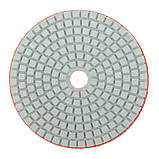 Диск алмазний Polax шліфувальний гнучкий на липучці "Черепашка" 100 мм, P200 (54-202), фото 3