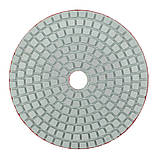 Диск алмазний Polax шліфувальний гнучкий на липучці "Черепашка" 100 мм, P400 (54-204), фото 3