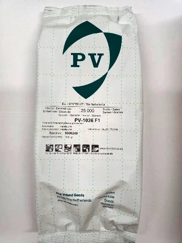 Насіння шпинату PV 1026 F1 25000 шт
