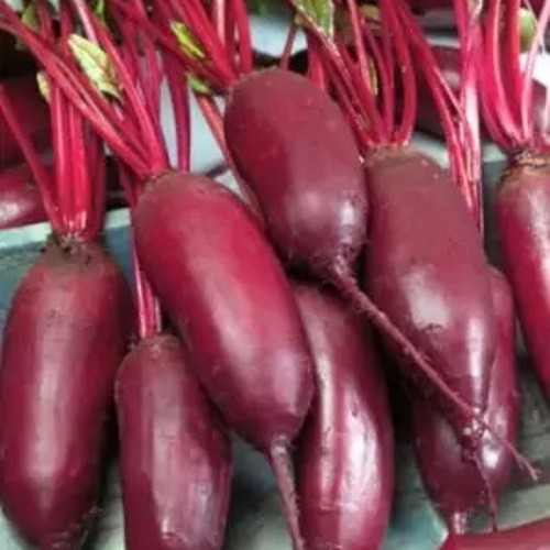 Насіння Буряк столовий Кедрі