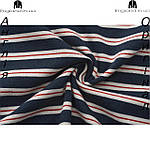 Футболка чоловіча Firetrap (Фаєртрап) з Англії - в полоску, фото 6