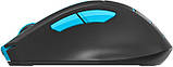 Комп'ютерна миша A4tech Fstyler FG30S Blue, USB, бездротова, оптична, безшумна, 1000/1600/2000 dpi, 125 Hz, 6 кнопок, 1xAA, фото 4