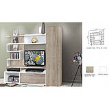 Стінка у вітальню Барі ДСП білий/дуб крафт сірий 1950х490х1960 Модерн, фото 4