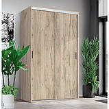 ФАСТ, TOP 2 Набірна шафа-купе ((індивідуальна комплектація) h=2100 мм, фото 4