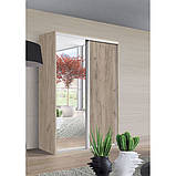 BRAUN, TOP 1 Набірна шафа-купе ((індивідуальна комплектація) h=2100 Модерн, фото 2