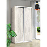 BRAUN, TOP 2 Набірна шафа-купе ((індивідуальна комплектація) h=2400 Модерн, фото 2