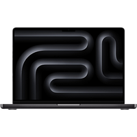 Ноутбук Apple MacBook Pro 16" Late 2024 Space Black (MX303)