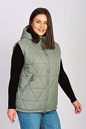 Демісезонна жилетка з капюшоном у модному кольорі.