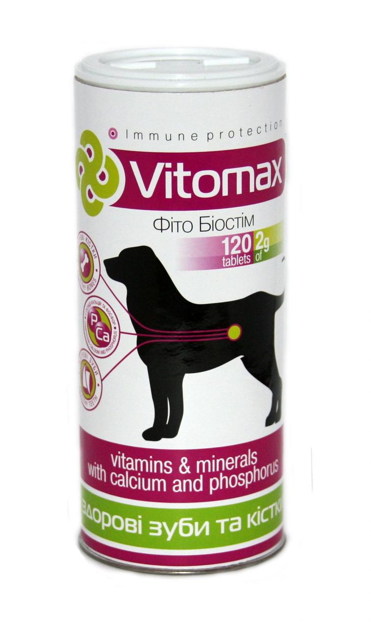 Вітаміни Vitomax для зубів та кісток собак 120 таб., фото 1