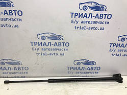 Амортизатор кришки багажника Ford Kuga CBS 2.0 DIESEL 2013 (б/у)