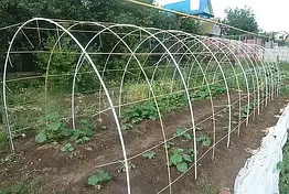 Композитна опора для рослин LIGHTgreen 6 мм. Бухта 50 м.зелена