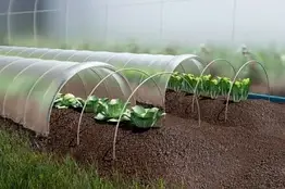 Композитна опора для рослин парника 7 мм. Бухта 50 м.