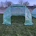 Теплиця з вікнами 18 м2 = 600 * 300 * 200 Парник.Польща, фото 3