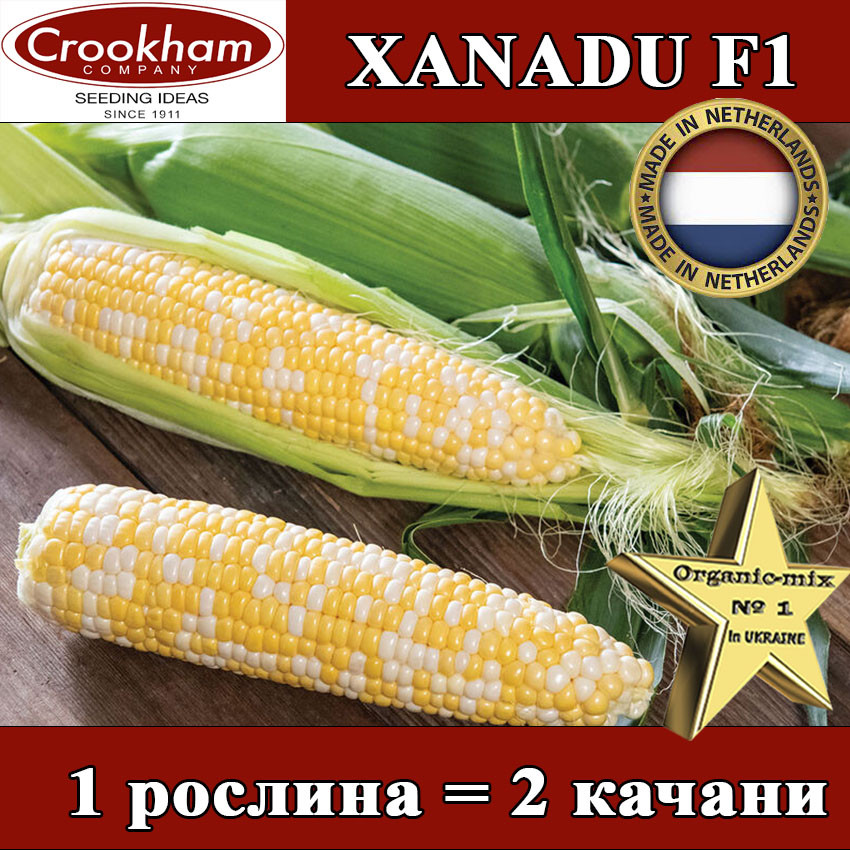 Кукурудза цукрова двокольорова, біколор Ксанаду F1 / Xanadu (Нідерланди), ТМ Сrookham, 5000 насінин