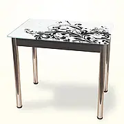 Стіл обідній Даллас стільниця - скло 10 мм + фотодрук УФ_16_305, ноги хром Fusion Furniture