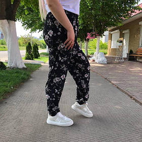 Султанки жіночі