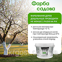 Фарба для садових дерев лікувально-захисна Aurum 4 кг, фото 4