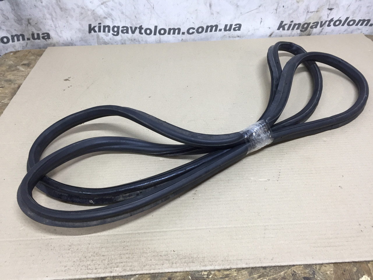 Ущільнювач кришки багажника Skoda Octavia A5 1Z9827705A, фото 1