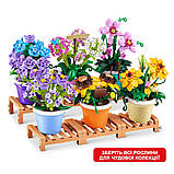 Конструктор в капсулі Max S1 – Садові рослини в горщиках, фото 5