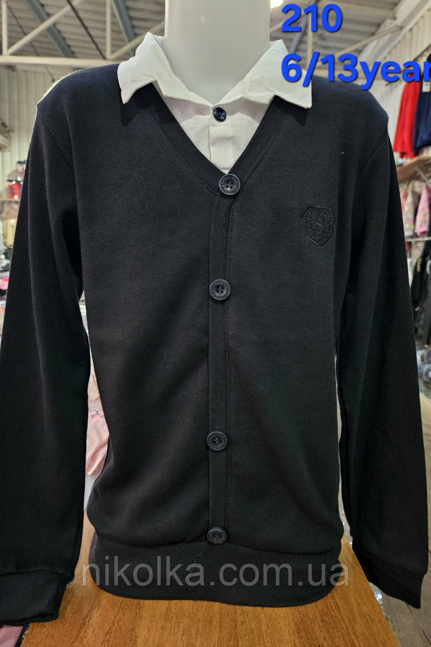 Светр для хлопчиків оптом, 6-14 рр., арт. 210, фото 1