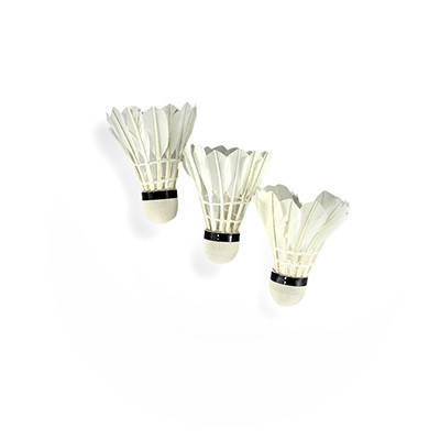 Теніс, бадмінтон