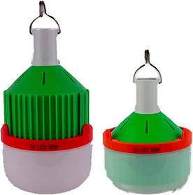 Лампа LED 30 Вт акумуляторна  BL-588 3-378 (17885)