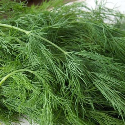 Насіння Кріп "Анет" 2 г.