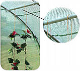 Теплиця парник плівкова Garden Line TUN5606 10м2 з вікнами 4х2.5х2м зелена, фото 10