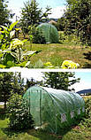 Теплиця парник плівкова Garden Line TUN5606 10м2 з вікнами 4х2.5х2м зелена, фото 11