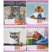 Зошит кольоровий 12 аркушів, лінія 3431N MZOPT