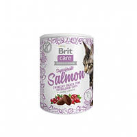 Ласощі для котів Brit Care Cat Snack Superfruits Salmon, лосось, 100 г (*)