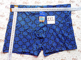 Труси чоловічі боксери, сині 2XL